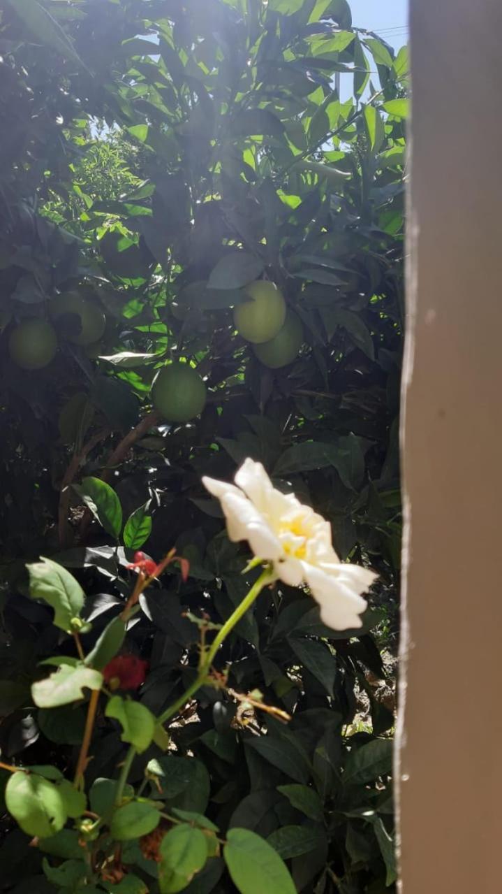 Guest House Emi بيرات المظهر الخارجي الصورة