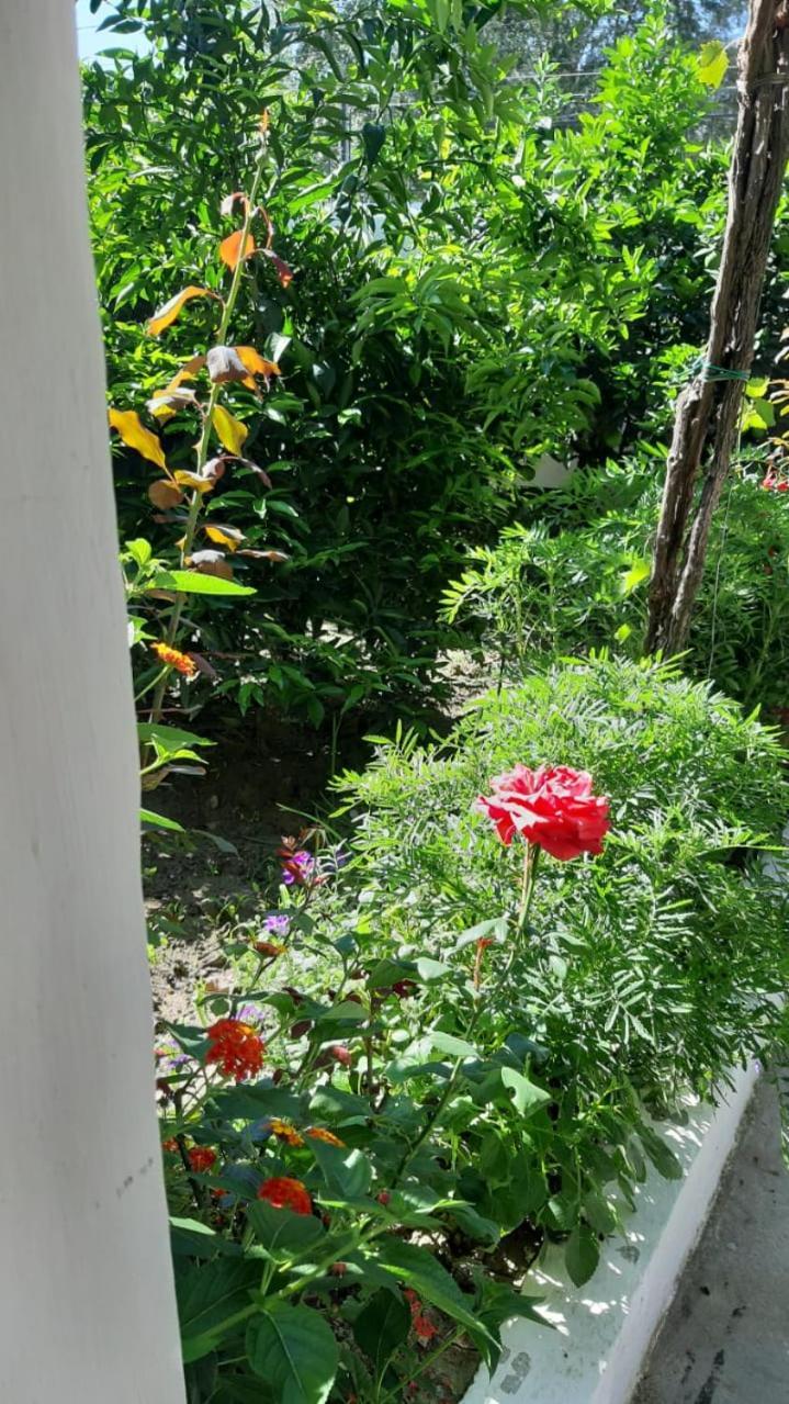 Guest House Emi بيرات المظهر الخارجي الصورة