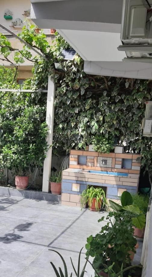 Guest House Emi بيرات المظهر الخارجي الصورة