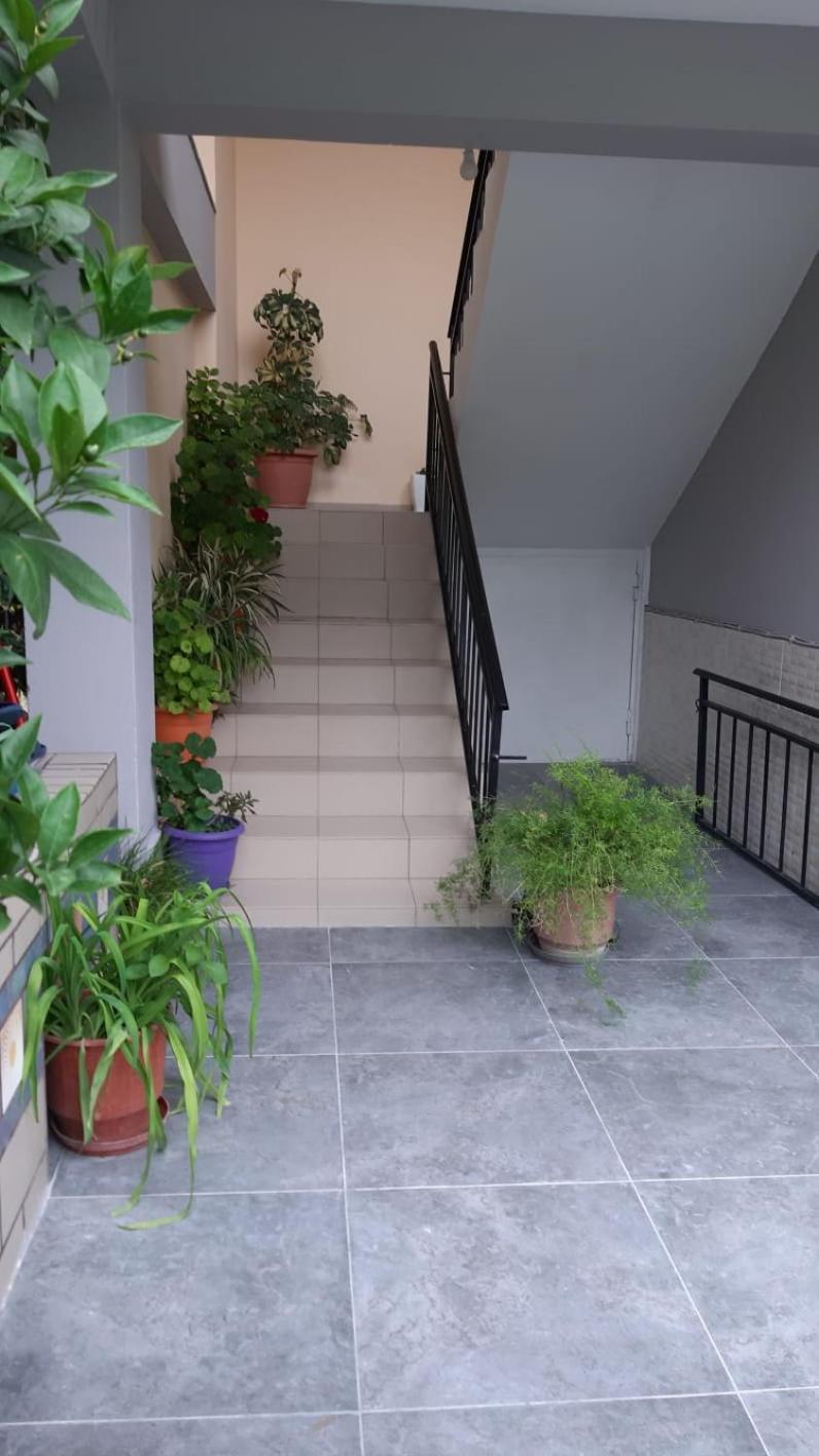 Guest House Emi بيرات المظهر الخارجي الصورة
