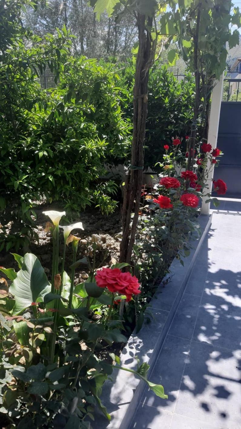 Guest House Emi بيرات المظهر الخارجي الصورة