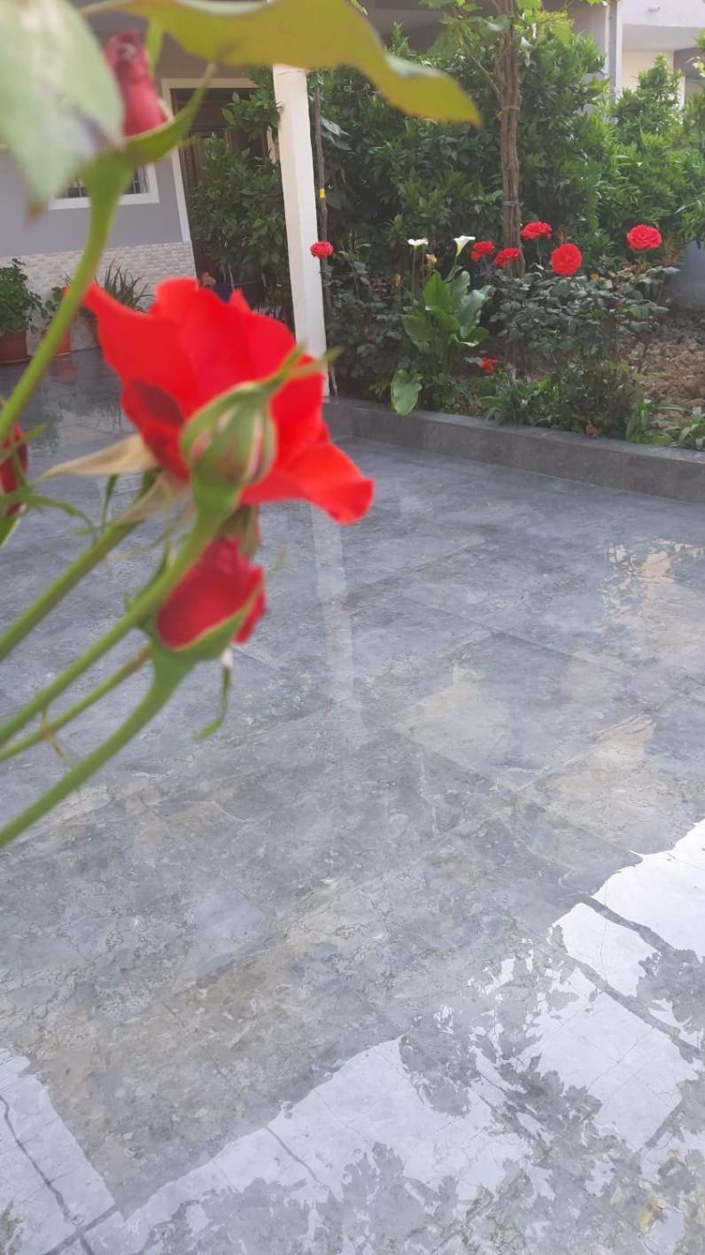 Guest House Emi بيرات المظهر الخارجي الصورة